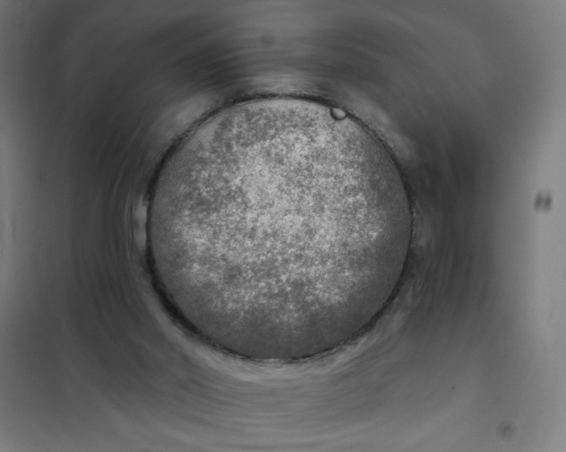 X0000101700014200807241443