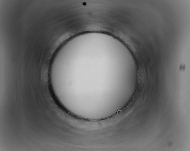 X0000101700015200807241443