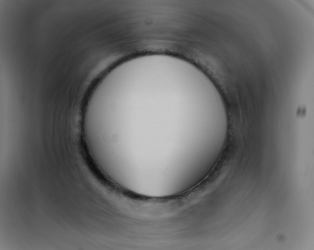 X0000101700016200807241443