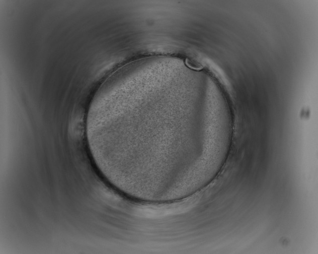 X0000101700017200807241443