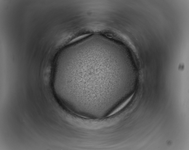 X0000101700018200807241443