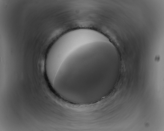 X0000101700019200807241443