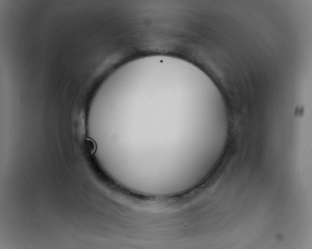 X0000101700020200807241443