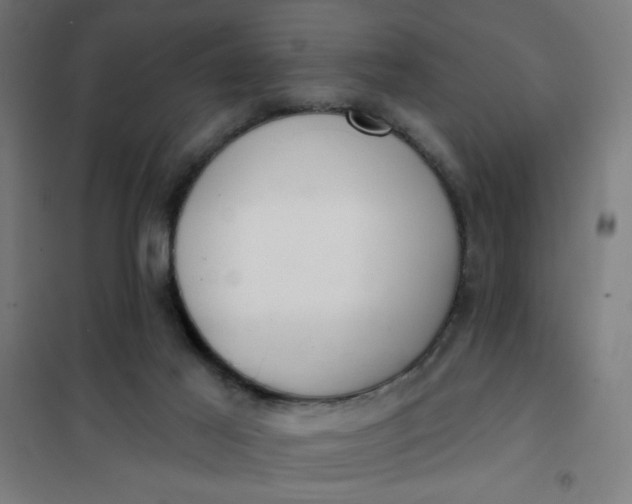 X0000101700021200807241443