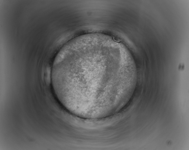 X0000101700022200807241443