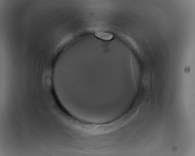 X0000101700023200807241443