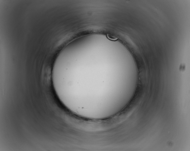 X0000101700024200807241443