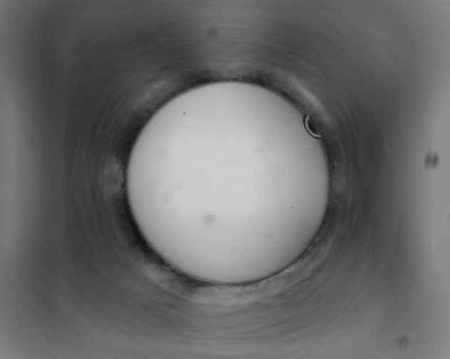 X0000101700025200807241443