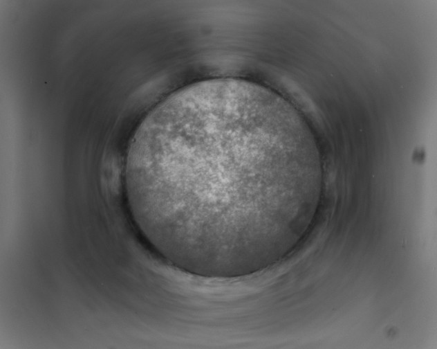 X0000101700026200807241443