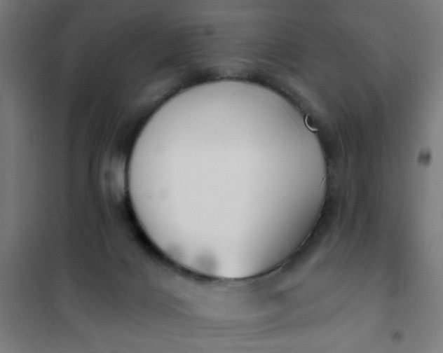 X0000101700028200807241443