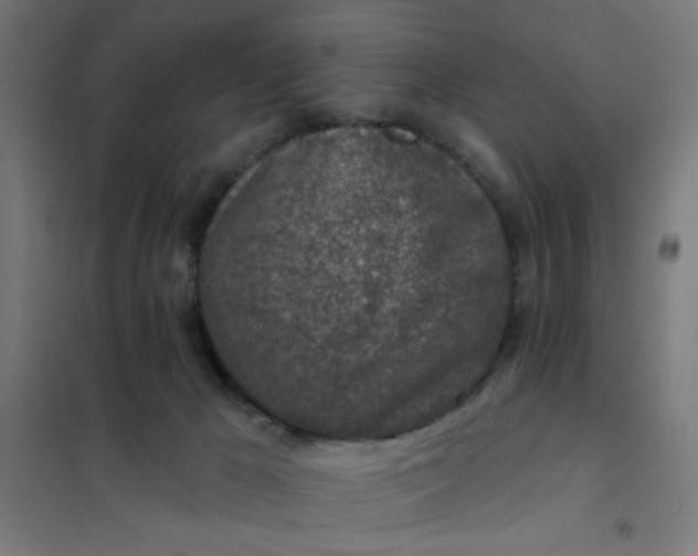 X0000101700029200807241443