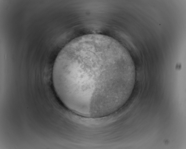 X0000101700030200807241443