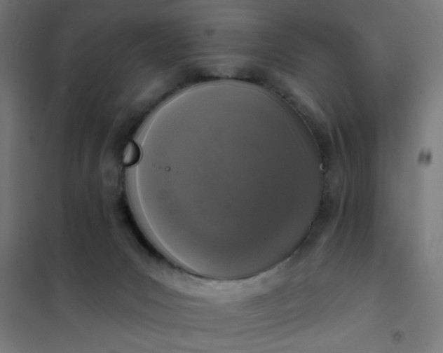 X0000101700031200807241443