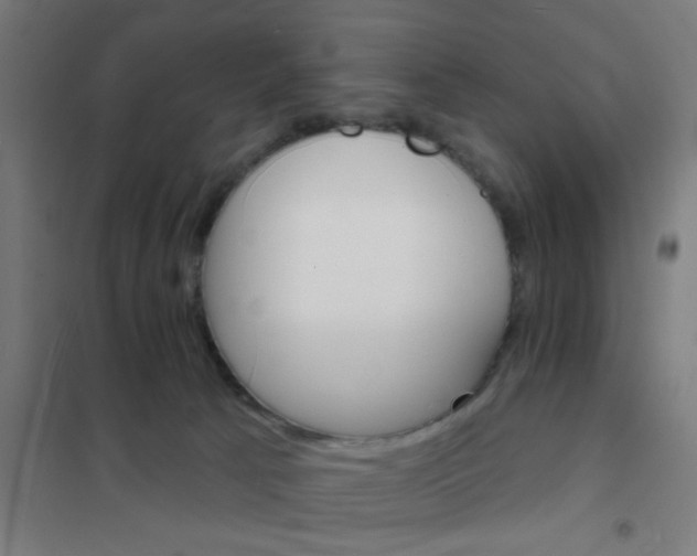 X0000101700033200807241443