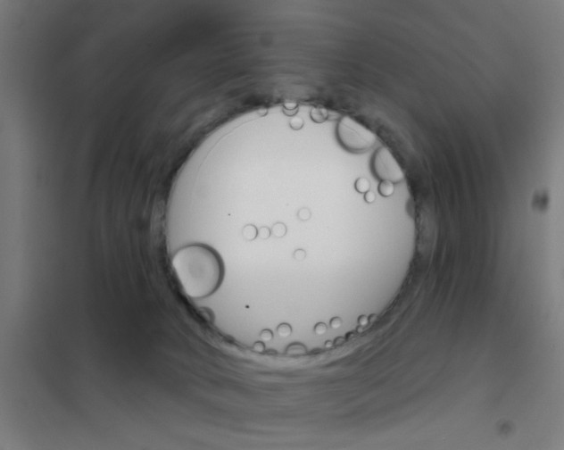 X0000101700034200807241443