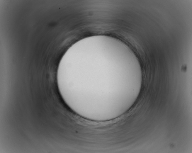 X0000101700035200807241443