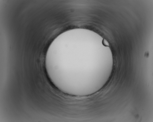 X0000101700036200807241443