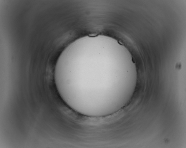 X0000101700037200807241443