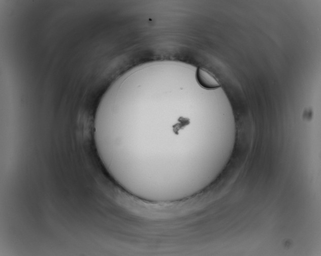 X0000101700038200807241443