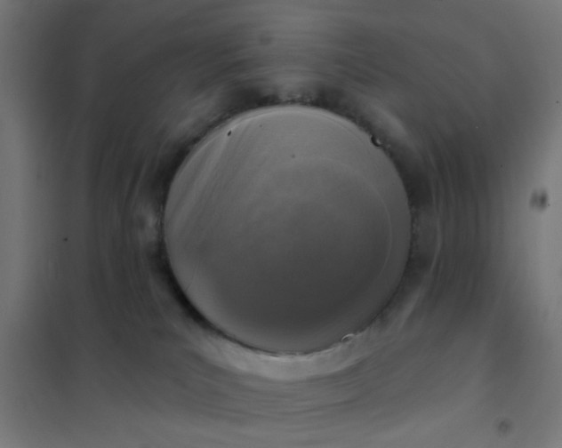 X0000101700039200807241443