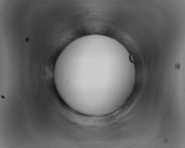 X0000101700040200807241443