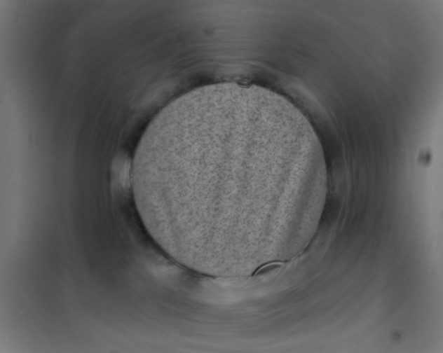 X0000101700041200807241443