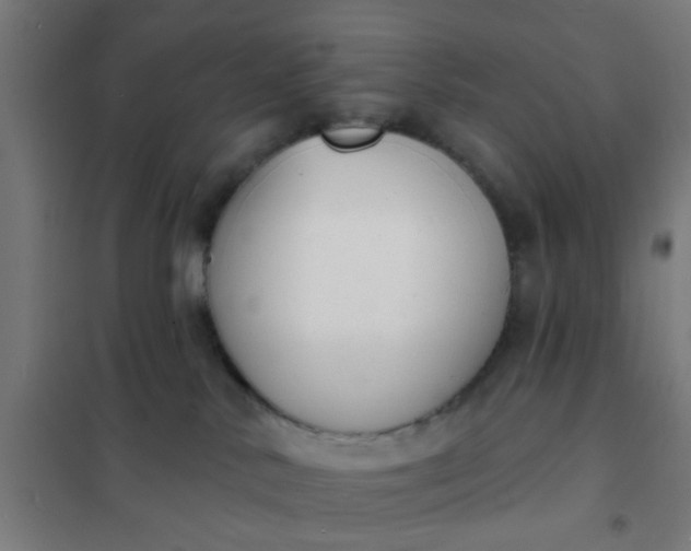 X0000101700042200807241443