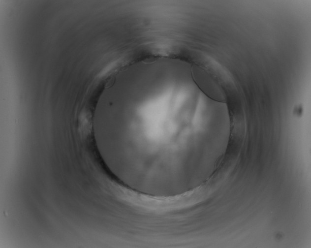 X0000101700043200807241443