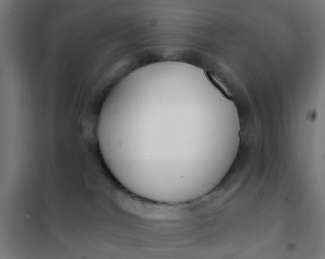 X0000101700044200807241443