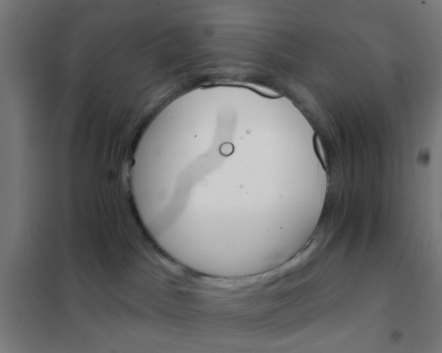 X0000101700045200807241443