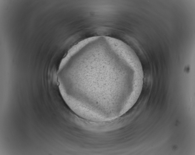 X0000101700046200807241443