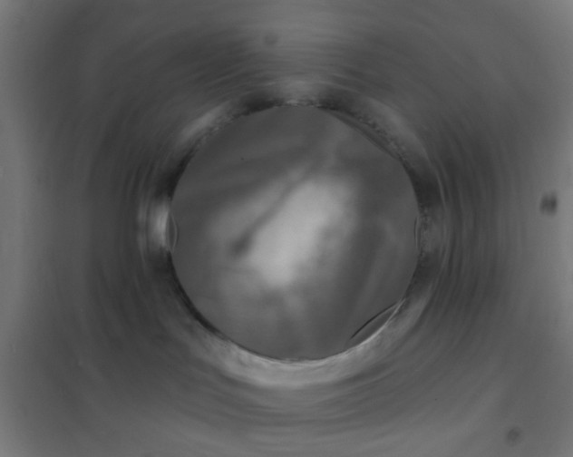 X0000101700047200807241443