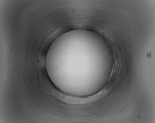 X0000101700048200807241443