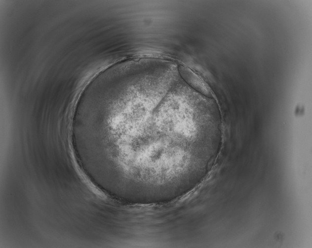 X0000101700049200807241442