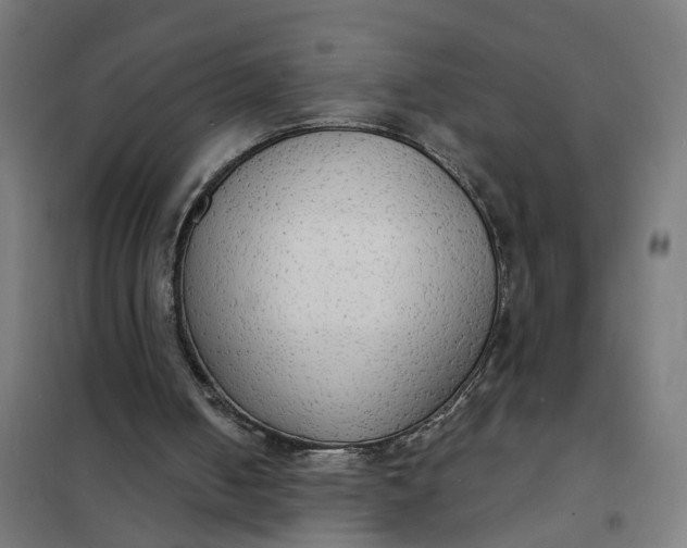 X0000101700050200807241442