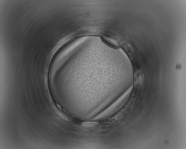 X0000101700051200807241442