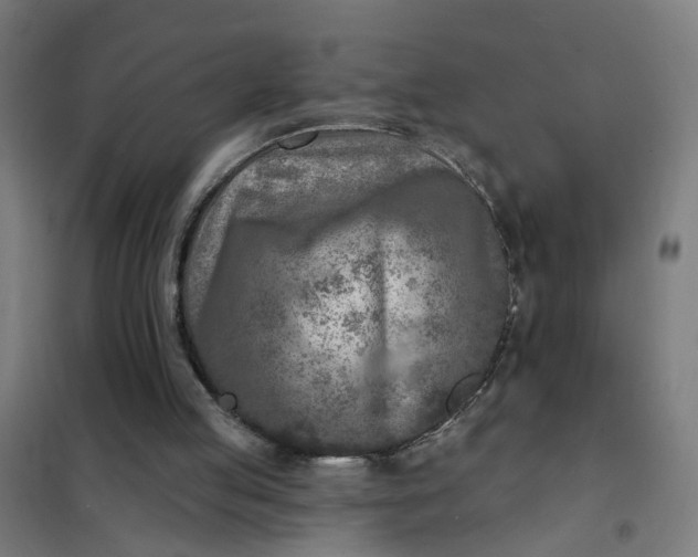 X0000101700053200807241442