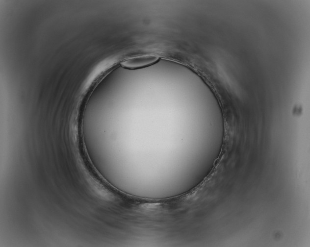 X0000101700054200807241442