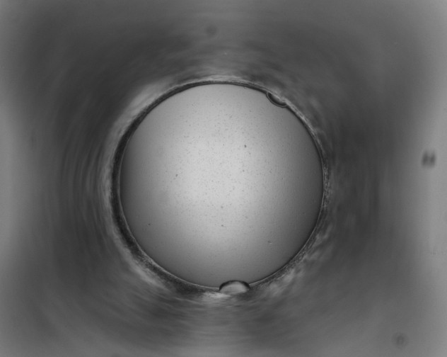 X0000101700055200807241442