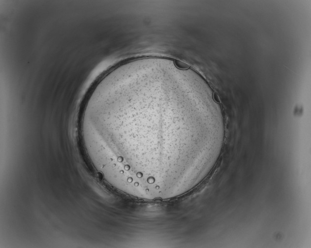 X0000101700056200807241442