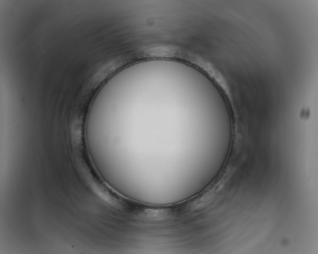 X0000101700057200807241442