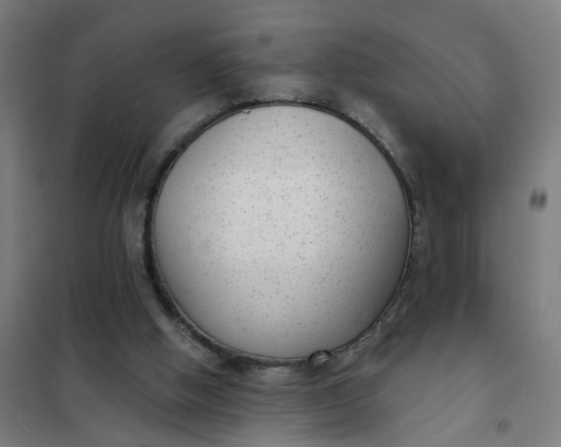 X0000101700058200807241442