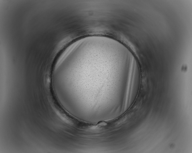 X0000101700059200807241442