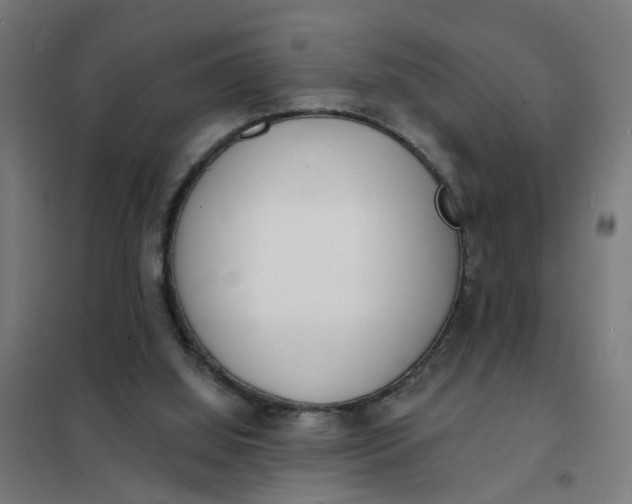 X0000101700060200807241442