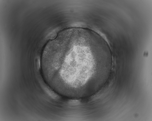 X0000101700061200807241442