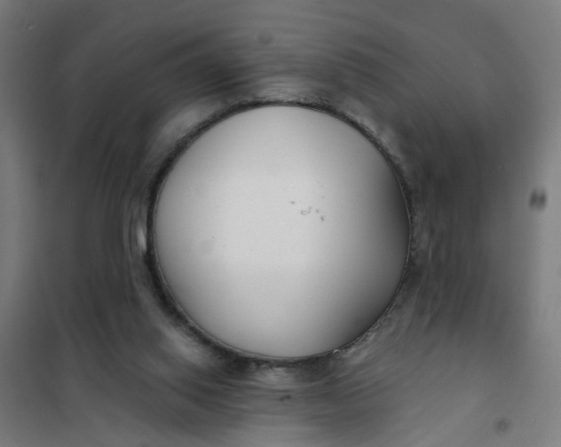 X0000101700062200807241442