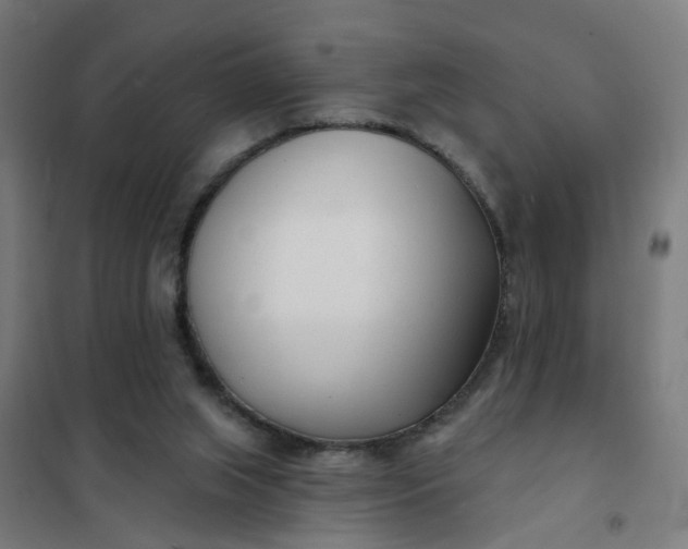 X0000101700063200807241442