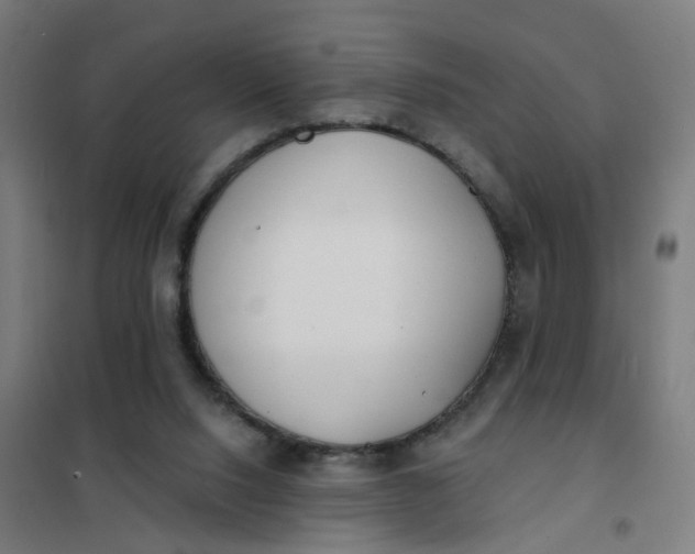 X0000101700064200807241442