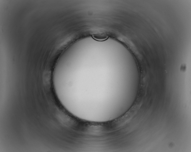 X0000101700066200807241442