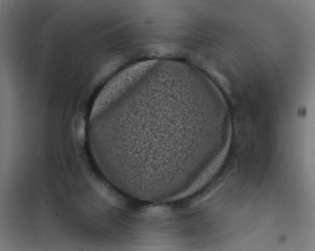 X0000101700067200807241442